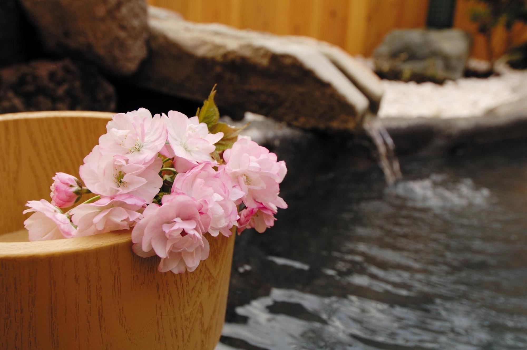 Oyado Nozawa Hotel Takayama  Luaran gambar